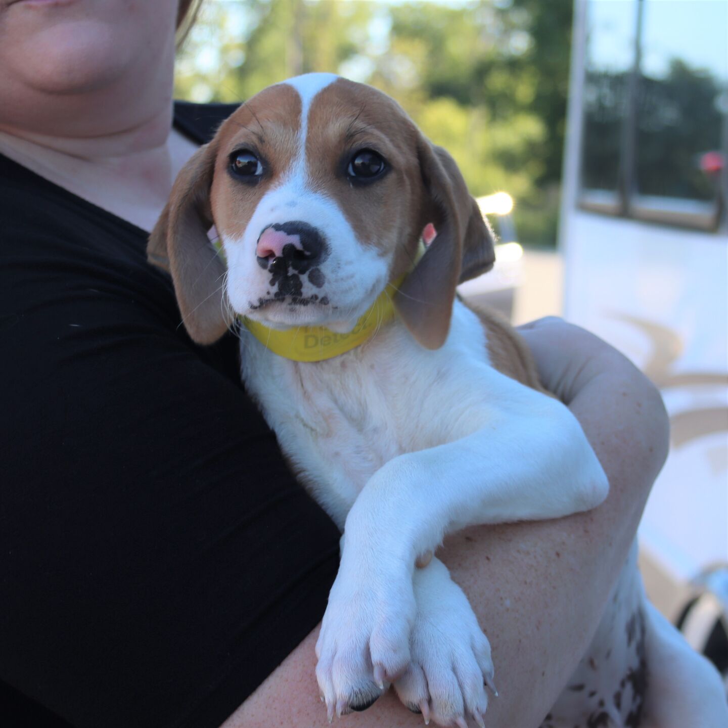 Wilbur 2022-08-13 002.JPG